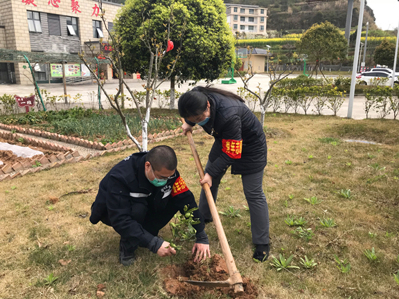 团员常顺、李东易为树苗盖土.JPG